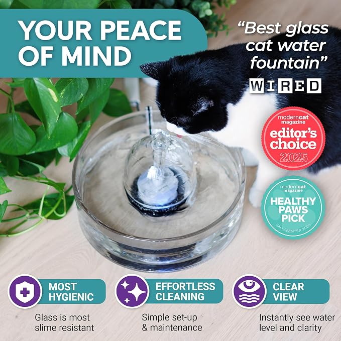 Brook Glass Cat Water Fountain 90oz – Dishwasher Safe Pet & Dog Fountain | Automatic 2.7L drinking water dispenser – quiet, easy to clean glass bowl, filters included – for indoor cats, kittens & dogs