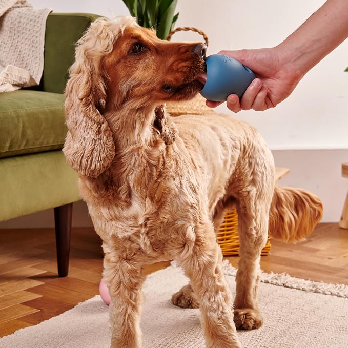 Beco Natural Rubber Bouncy, Chewy & Fillable Boredom Buster Dog Toy, Rolls & Wobbles Stuff with Multiple Fillable Holes, Blue (Pack of 2)