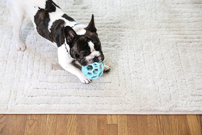 JW Pet HOL-ee Roller, Natural Rubber, Small 3in, Blue