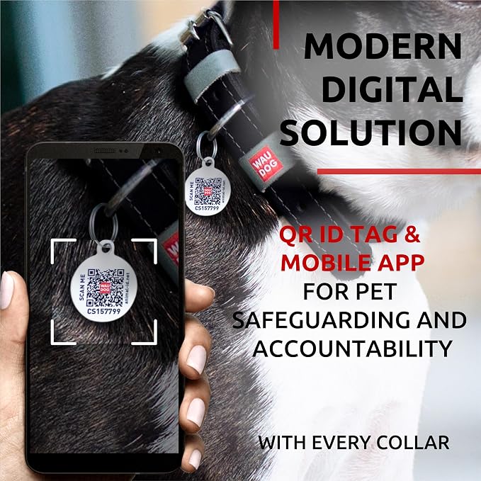 WAUDOG Long Lasting Leather Dog Collar for Large Dogs, Medium & Small Dogs - Adjustable Classic Puppy Collars for Large Breed Dogs - Boy & Girl Dog Collars with Durable Buckle, D-Ring & QR Dog Tag
