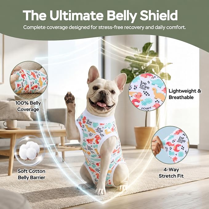 PetWarm Post Neuter Surgery Suit for Dogs, E Collar Alternative for Dogs After Surgery, Anti-Licking Dog Surgery Recovery Suit Dog Bodysuit, Dinosaur Pattern, White, 2XL