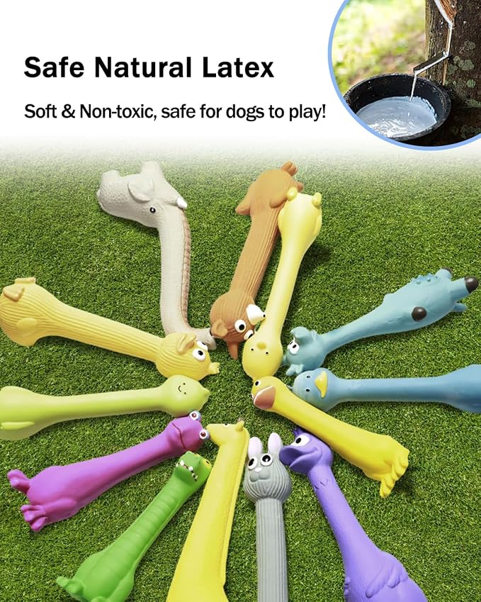 SCHITEC Squeaky Dog Toys, [2 Pack] Squawking Latex Toy with Interactive Squeaker, Squeak Rubber Duck Chicken for Medium Small Dogs