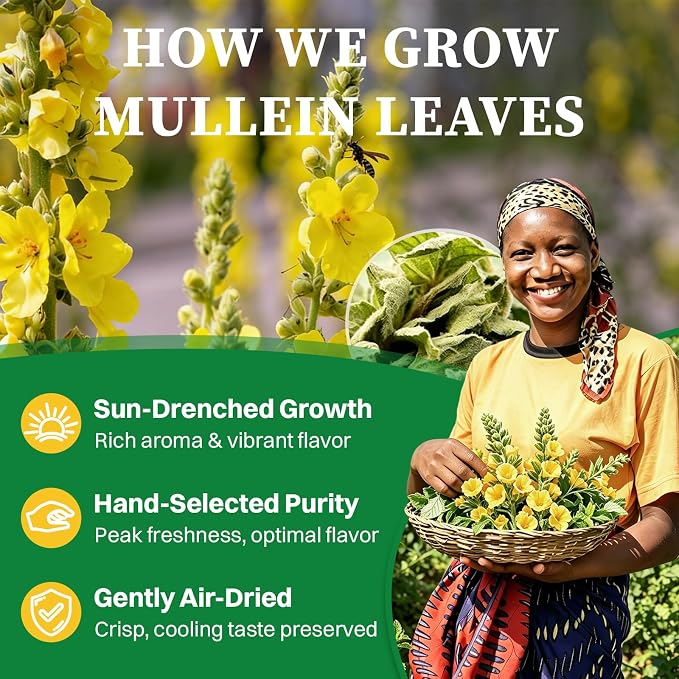 SKMTT Mullein Tea Bags for Lungs, 80 Count | Premium Mullein Leaves, Respiratory Support, Caffeine Free, No Additives