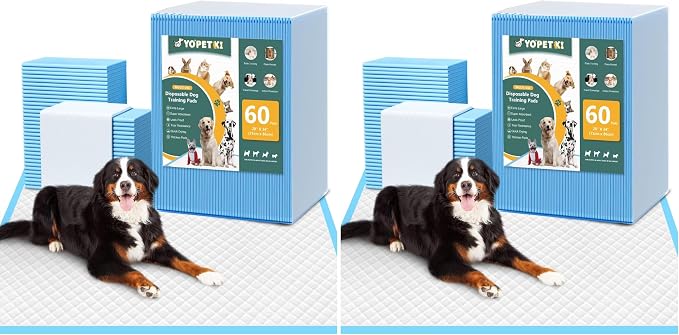 60 Count Extra Large Dog Pee Pads 28" x 34", Super Absorbent X-Large Puppy Pads Disposable Dogs Training Pads, Quick Drying Leak-Proof Dog Potty Pads for Doggies Puppies (Pack of 2)