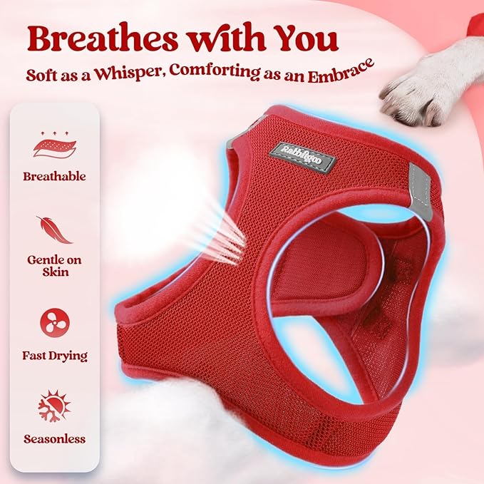 rabbitgoo Dog Harness Small Sized and Leash Set, Step-in Puppy Pet Vest | Light, Soft, Breathable Air Mesh, Easy on and Remove with Hook & Loop, Secure Reflective for Walking, Red XS