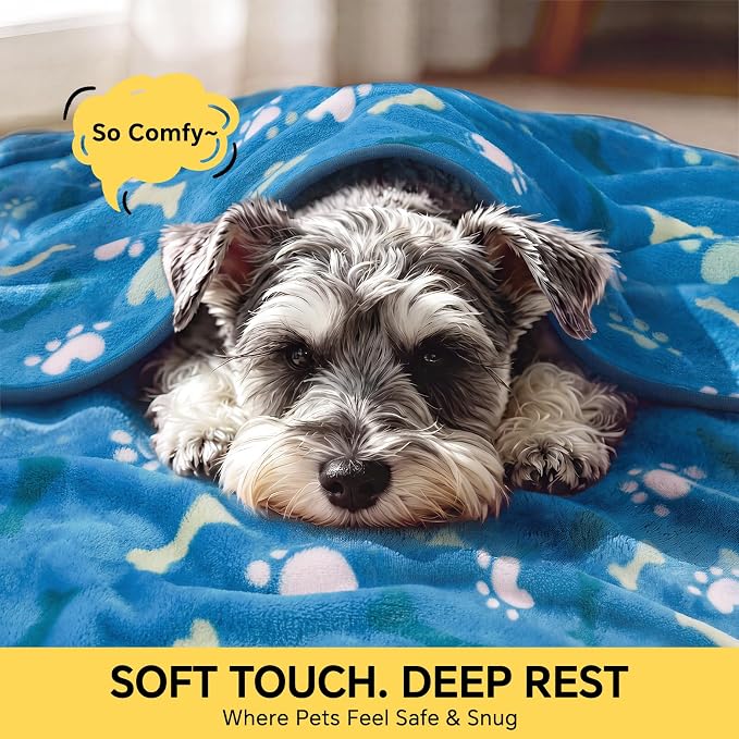 Luciphia 3 Pack Cute Dog Blankets Soft Fleece for Small Puppy Cat,41"x31" | 280GSM Fuzzy Doggy Kitten Throw Blankets Washable for Crate Bed Couch Car Indoor - Puppy Essentials Dog Gift