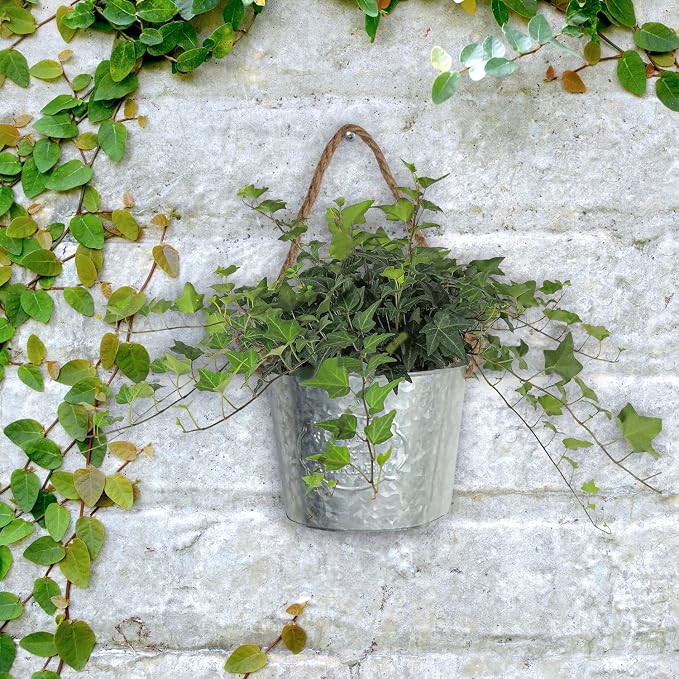 XONOR 4Pcs Galvanized Metal Hanging Wall Planter, Rustic Wall Flower Vase for Succulents Herbs Country Home Farmhouse Decoration (1)