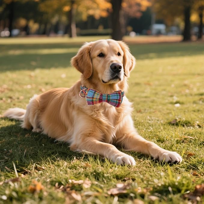 ADOGGYGO Plaid Dog Collar with Bow Tie, Detachable Tartan Bowtie, X-Large