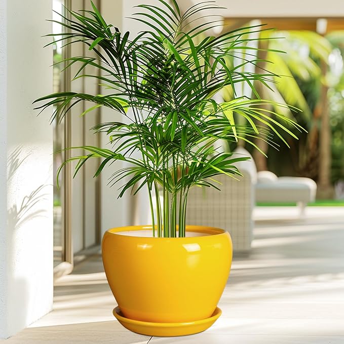 Ceramicfor 8 Inch Plant Pot - Glaze Modern Round Ceramic Planter for Indoor Outdoor Plants with Drainage Hole and Saucer for Home Patio Room Office Decor, Yellow