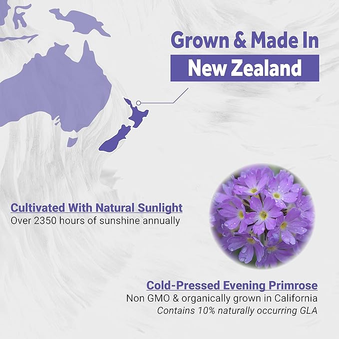 Naturalis Evening Primrose Oil (1300mg) | 100% Natural from New Zealand | Non-GMO, Soy & Gluten Free, Zero Filler | 120 Softgels