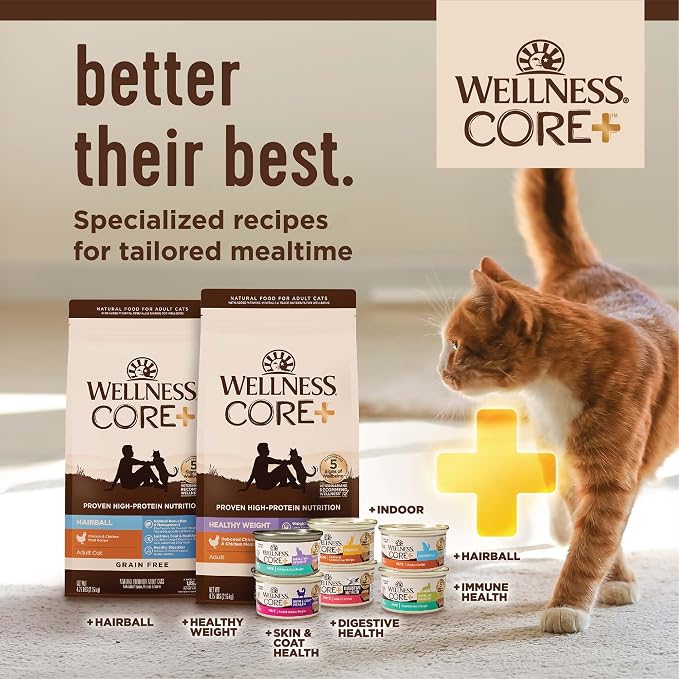 Wellness CORE+ Adult Dry Cat Food for Infoor Cats, Natural, Grain Free Kibble, Salmon and Herring Meal Recipe, 5 lb Bag