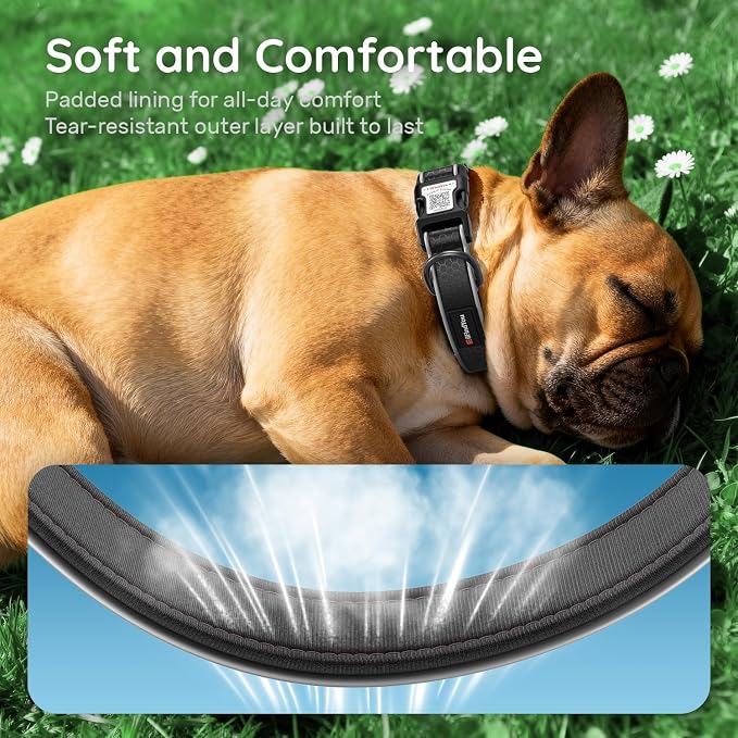 Personalized Dog Collar with QR Code Dog Tag, Oxford Black L | Anti-lost, Oxford, reflective, padded, XS-L(8"-24"), QR buckle shares lost pet profile, location alerts when scanned, No Fees