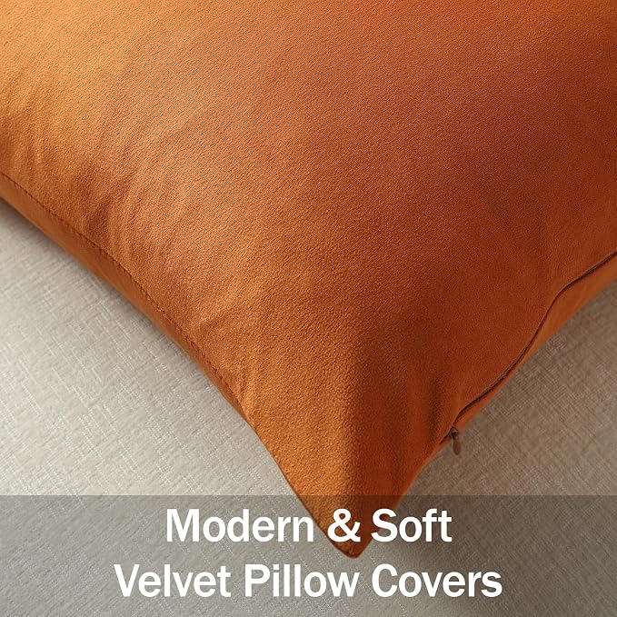 Throw Pillow Covers 22x22 Orange: Pack of 2 Cozy Soft Velvet Square Modern Luxury Decorative Throw Pillow Cases for Sofa Couch Living Room Bed Home Decor