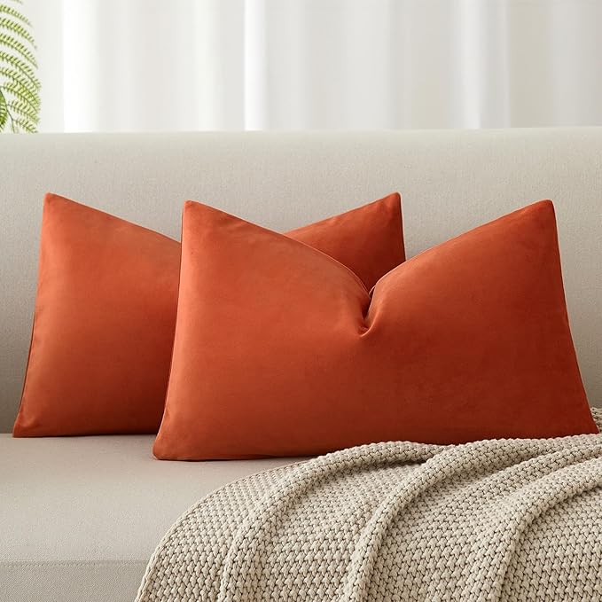 14x24 Velvet Throw Pillow Covers Set of 2 for Couch Bed Sofa,Burnt Orange | Decorative Soft Pillow Covers with Invisible Zipper for Couch Sofa Bed Living Room Bedroom Home Decor Halloween