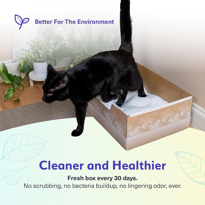 Kitty Poo Club Disposable Cat Litter Box 2-Pack with Corn & Wheat Litter | Plant-Based Clumping Formula Helps Neutralize Ammonia Odor, Scoops Cleanly, Feels Soft on Paws, and Fits Multi-Cat Households