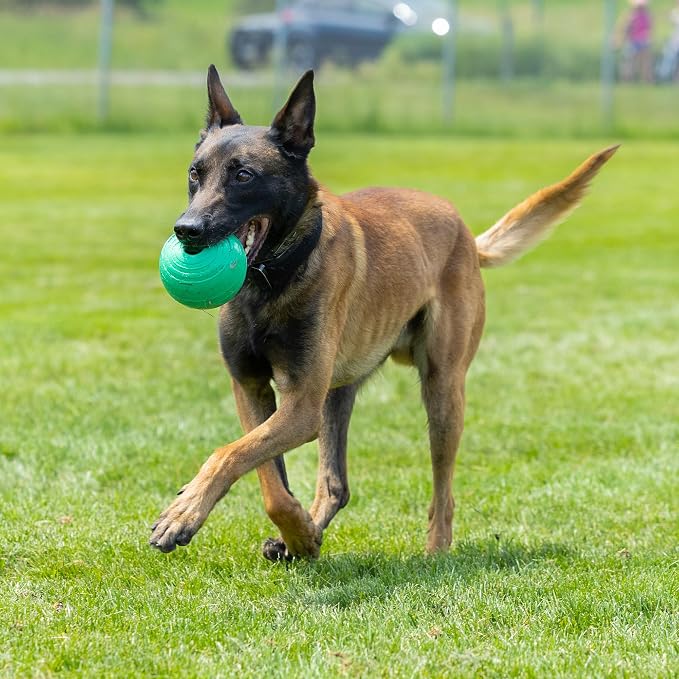 PetKORE: KoreFlex Ball - 4.75" Large, Green, Dog Toy, Shape Maintaining Rubber, Treat Stuffing Center, Bounce-Fetch-Chew, Pet Indoor-Outdoor Play