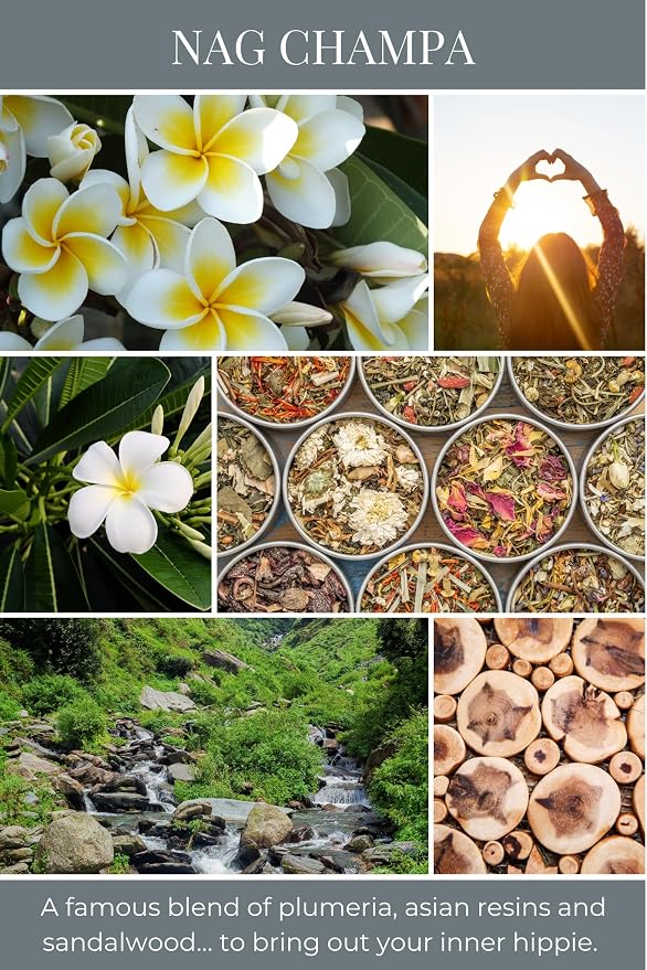Eco Candle Co. Tea Light Candles, Nag Champa, 10-Pack - Scents of Plumeria, Asian Resins, & Sandalwood - Recyclable Plastic Cups, 100% Soy Wax, No Lead, Hand Poured, Midwest Soybeans, .6 oz. Each