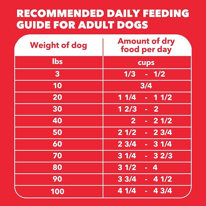 IAMS Proactive Health Minichunks Dry Dog Food, Lamb & Rice, 38.5 lb | Real Lamb #1 Ingredient, Omega-6 Fatty Acids for Skin & Coat, Natural Fiber & Prebiotics, No Fillers or Artificial Flavors