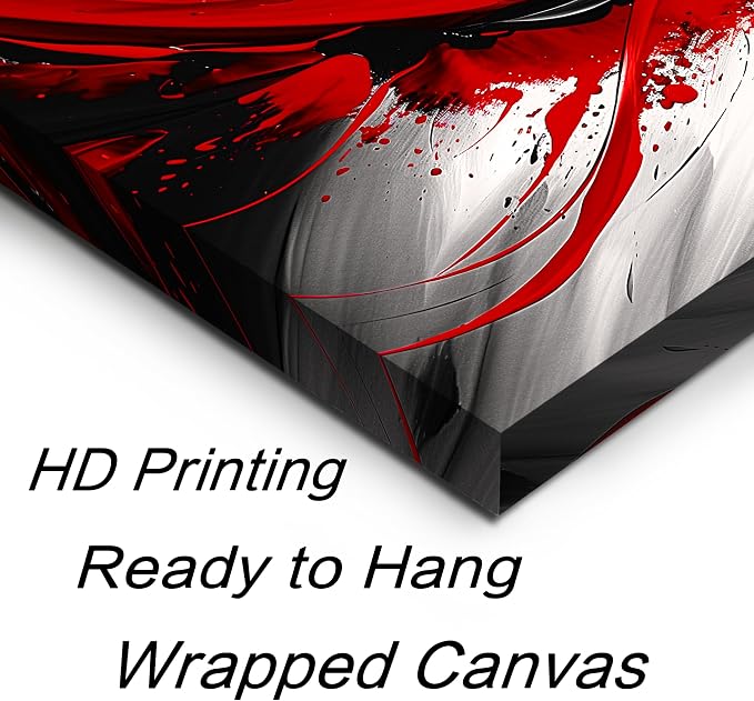 Black and White Red Large Canvas Wall Art for Living Room Framed Print Picture Painting Bedroom Office Wall Decor Modern Room Abstract Wall Decorations Artwork Size 24x48 Ready to Hang