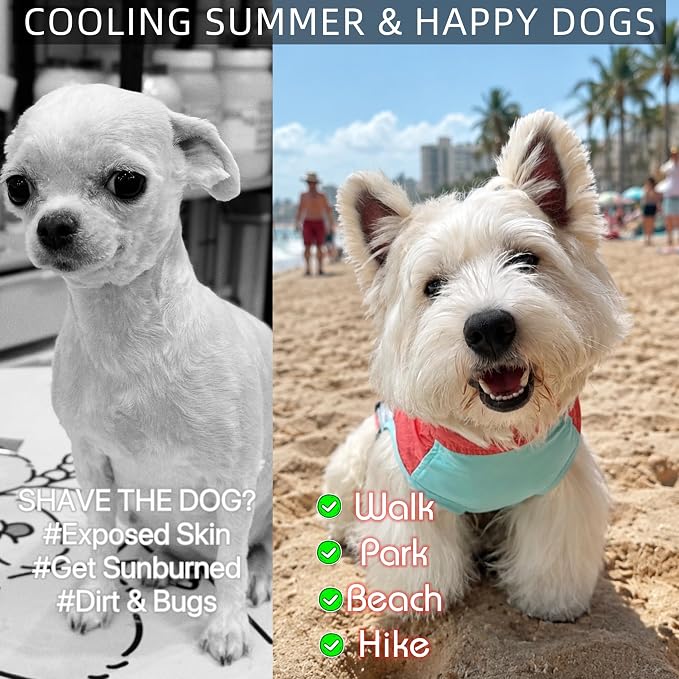 Dog Sun Protection Cooling Shirt,UPF 50+ UV Protection,Lightweight Breathable Cooling Vest, Sunblock Summer Clothes for Dogs (Tomato Red, Medium, Pull On)