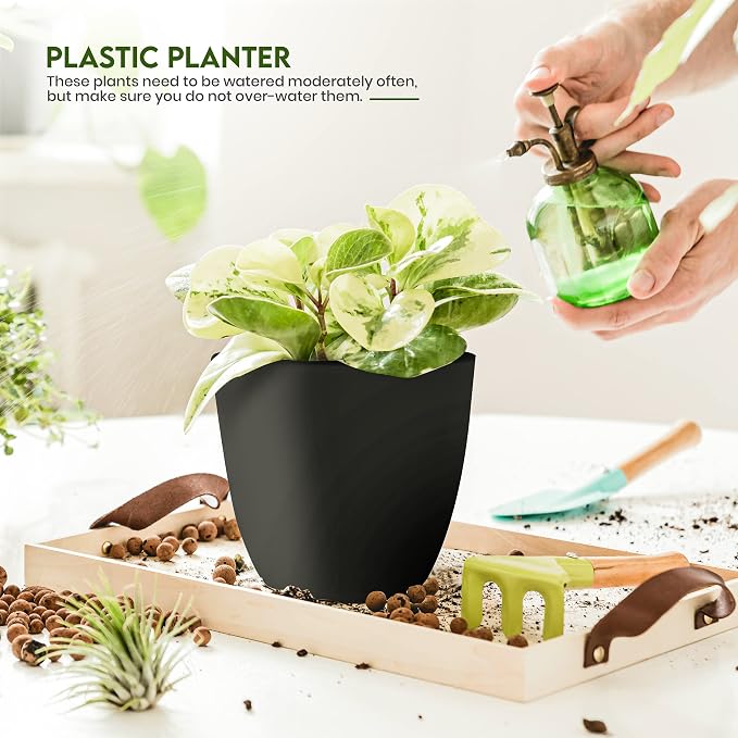 Plant Pots Indoor with Drainage, 5 Pack Multi-Size Planters Set, Black | Drainage holes included Multiple sizes 7/6.6/6/5.3/4.8 In Indoor plants and flowers Durable plastic construction
