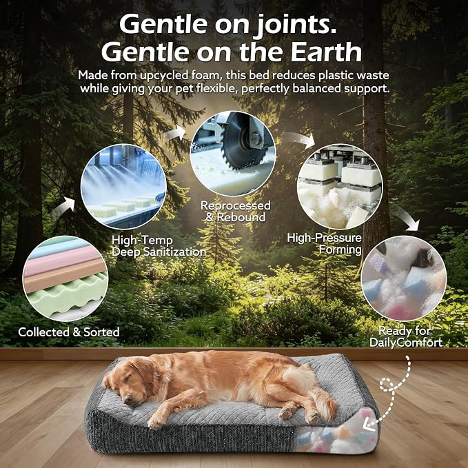 JOEJOY Orthopedic Dog Bed Medium Sized Dogs, Extra Thick Supportive Big Dog Couch Bed with Sides, Ultra Soft Pet Bed Sofa, Light Grey, 35''x25''