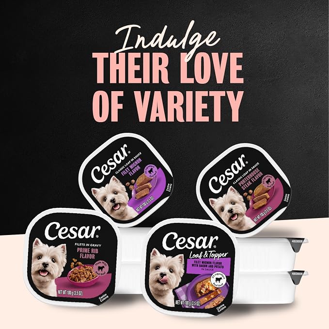 Cesar Wet Dog Food, Steak Lovers Variety Pack, 3.5 oz, 24 Count | Real meat #1 ingredient, easy peel trays, 100% complete & balanced, no fillers, no added sugar, no artificial flavors