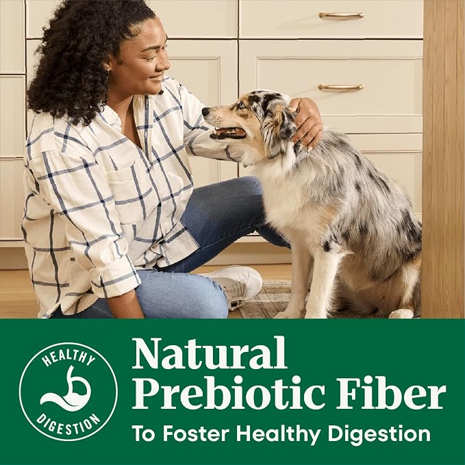 Nutro Natural Choice Small Bites Dry Dog Food, Chicken & Rice, 13 lb | Non-GMO, Real chicken #1 ingredient, no by-product meal/corn, wheat, soy, supports energy, bones, muscles & dental health