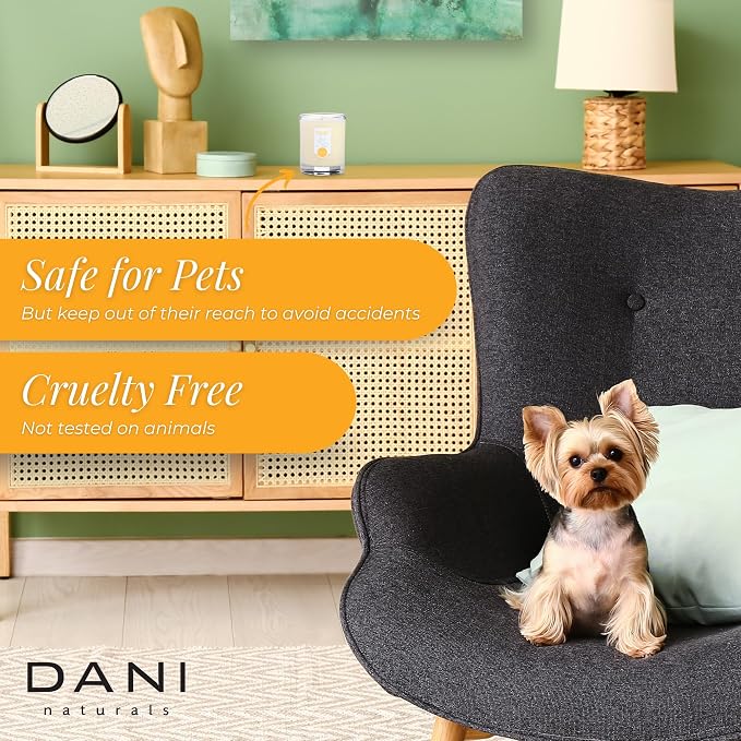 DANI Naturals Grapefruit Ginger 100% Soy Wax Candle, Non-Toxic, 7.5oz | Vegan,soy wax candle,Clean-burning with organic cotton wick,Energizing grapefruit ginger scent,Made in USA
