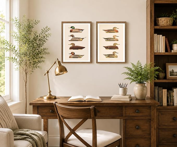 Vintage Duck Wall Art Set of 2 Framed, Waterfowl Bird Prints | Antique Natural History Artwork for Lake House Farmhouse Decor 16x24 Inches