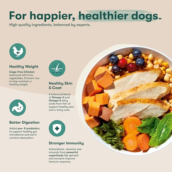 Jinx Grain Free Dry Dog Food - Real Chicken, Sweet Potato & Carrot, 4lb | Premium Kibble for Digestive Support & Healthy Immunity - No Fillers, All Lifestages (Puppy, Adult & Senior), Breeds & Sizes