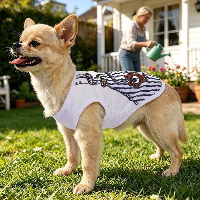 4 Pack Breathable Mesh Dog Shirts: Summer Boy Dog Clothes for Small Dogs, Cooling Puppy Clothes Male with Cute Patterns, Pet T-Shirts (Blue Set, Size S)