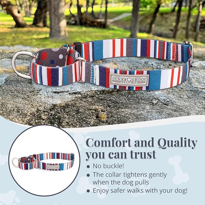 Lucky Love Dog Martingale Collar for Medium Dogs No Slip – Linus, Medium