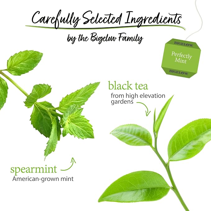Bigelow Tea Perfectly Mint Black Tea, Caffeinated with Spearmint, 20 Count Box (Pack of 6), 120 Total Tea Bags