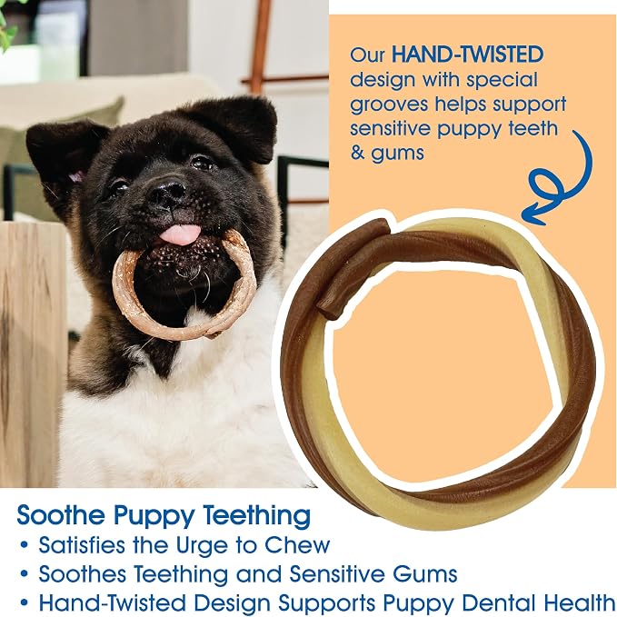 N-Bone Puppy Teething Rings, Taste of Texas Queso Con Carne Flavor, Natural Puppy Teething Chews, Helps Soothe Teething Gums, Calcium Enriched Chew Treats, 3 Rings