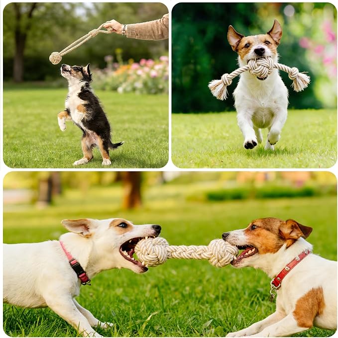 Dog Rope Toy for Small Dog 3pcs, Natural Chew Toys for Puppy, Medium Dogs