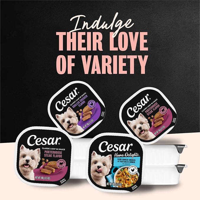 Cesar Classic Loaf in Sauce Wet Dog Food, Meaty Selects, 3.5 oz, 36 Count | Made in USA, Real meat #1 ingredient, no fillers or artificial flavors, formulated without grains, easy peel trays
