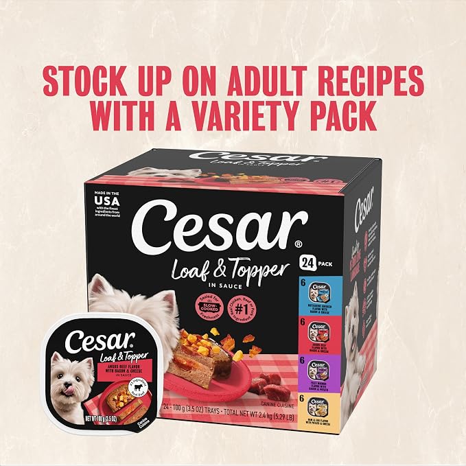 Cesar Loaf & Topper Wet Dog Food, Bacon Feast, 3.5 oz, 12 Count, 2-Pack | Rotisserie Chicken & Angus Beef with Bacon & Cheese, no fillers or artificial flavors, slow-cooked, easy peel trays