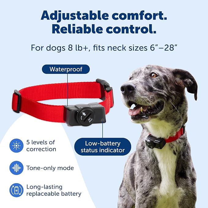 PetSafe Wireless Fence Pet Containment System + Batteries, Up to 1/2 Acre | Includes extra 2-pack RFA-67 Batteries, Static & Tone, Sets up in 1-2 Hrs, Waterproof Collar, Dogs 8 lb+, Necks 6-28in