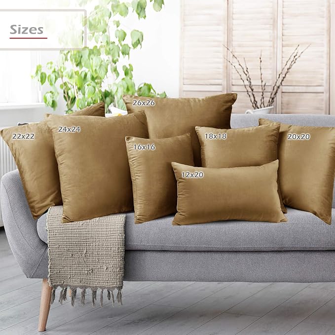 Throw Pillow Inserts Pack of 2 with Velvet Soft Solid Decorative Square Throw Pillow Covers Set for Sofa Couch Car Bedroom, 26X26 Throw Pillows Inserts with 24x24 Washable Cushion Covers, Mocha Brown