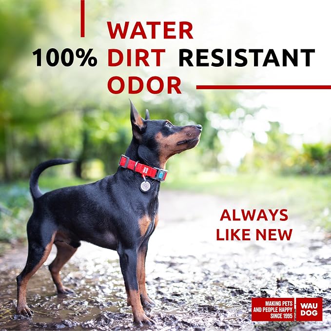 WAUDOG Waterproof Dog Collar Airtag Holder QR Tag Small Medium Large Dogs | Water and Dirt Resistant, Quick Dry QR Pet Tag Adjustable Durable Comfort for Male and Female Dogs Outdoor Walking Training