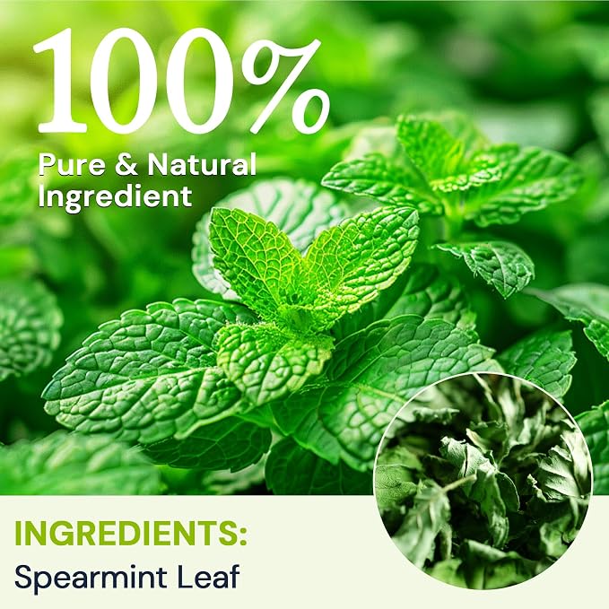 Spearmint Leaf Herbal Tea - Caffeine Free, 120 Teabags