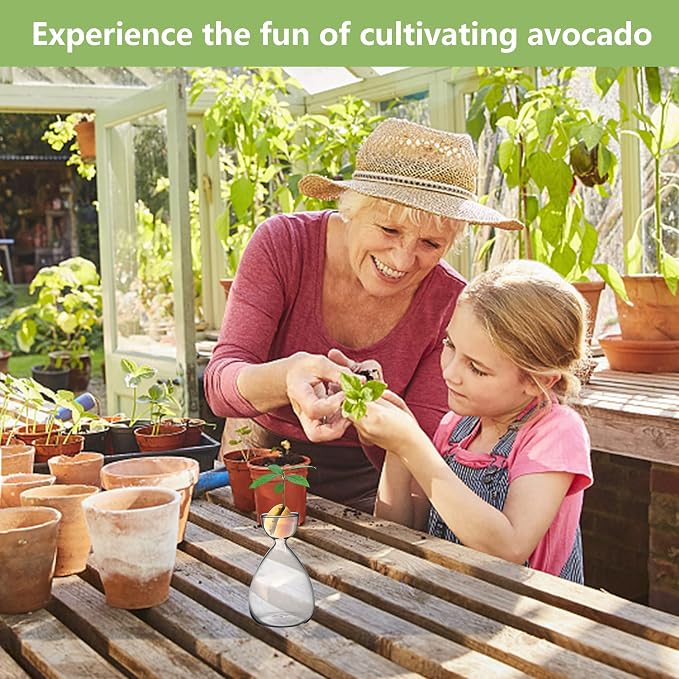 2pcs Small Avocado Seed Starter Vase, Avocado Tree Growing Kit, Avocados Glass Plant Pot Vase Gifts for Gardening Lovers (2pc Avocados vases)