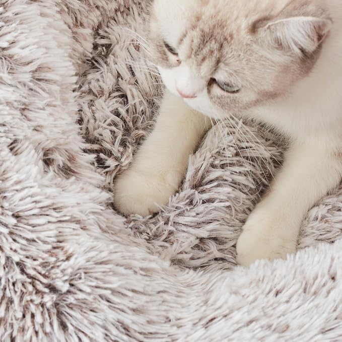 Western Home Calming Donut Cat Bed Small Dog Bed Washable,20" White Khaki | Fluffy Faux Fur Round Cuddler,Anti-Anxiety,Anti-Slip Bottom,Self-Warming Pet Bed for Small Dog&Kitten&Puppy,Up to 12 LBS