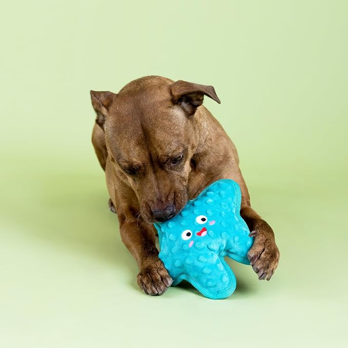 Fringe Studio I'm A Star Durable Plush Dog Toy, Pet Shop Collection (729159)