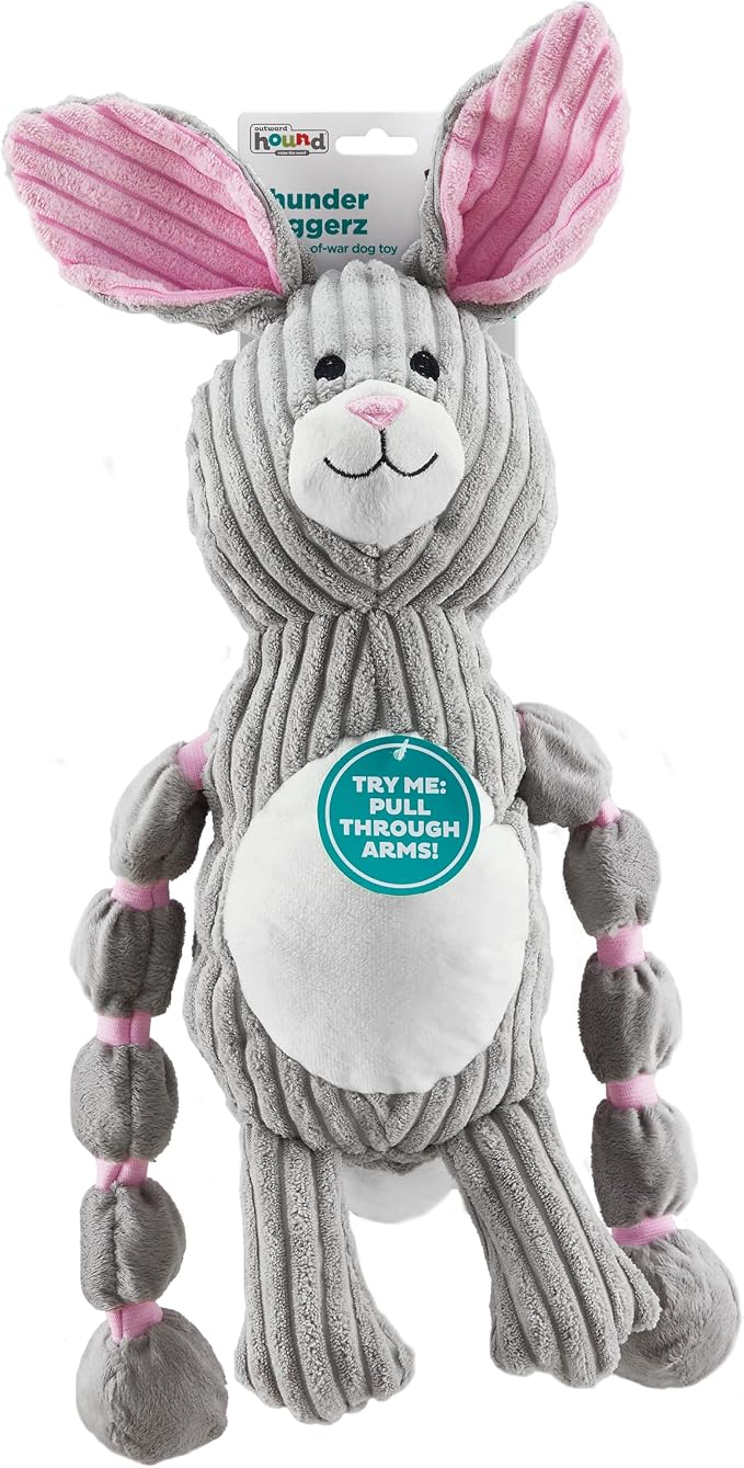 Outward Hound by Charming Pet Thunda Tugga Bunny Plush & Squeaky Dog Tug Toy
