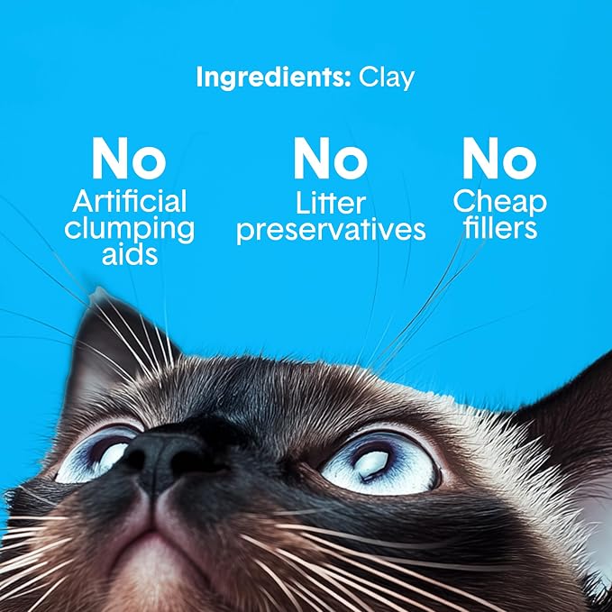 Boxie Premium Unscented Clumping Cat Litter 30 Day Odour Control 40 lb