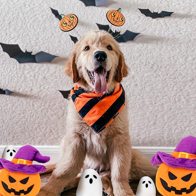 lilfrd Halloween Dog Toys, Pumpkin Ghost Hide & Seek Squeaky Toy