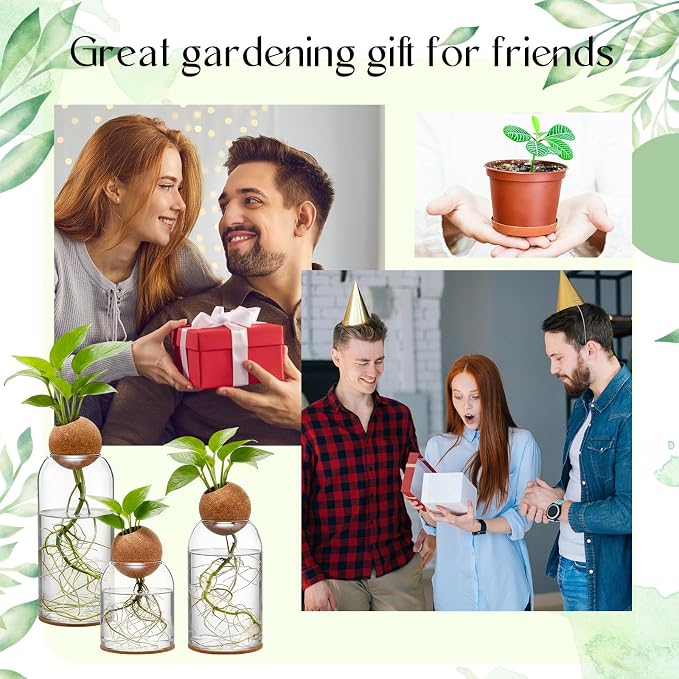 3 Pcs Glass Plant Propagation Stations for Plants with Spherical Lids and Cork Coasters Hydroponic Spherical Cork Planter Desktop Vases for Plants Cuttings Home Office Tabletop Decor