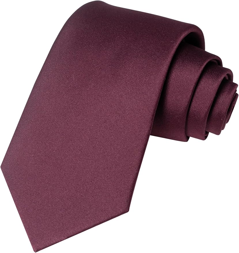 JEMYGINS Solid Color Tie Mens Necktie for Business and Wedding